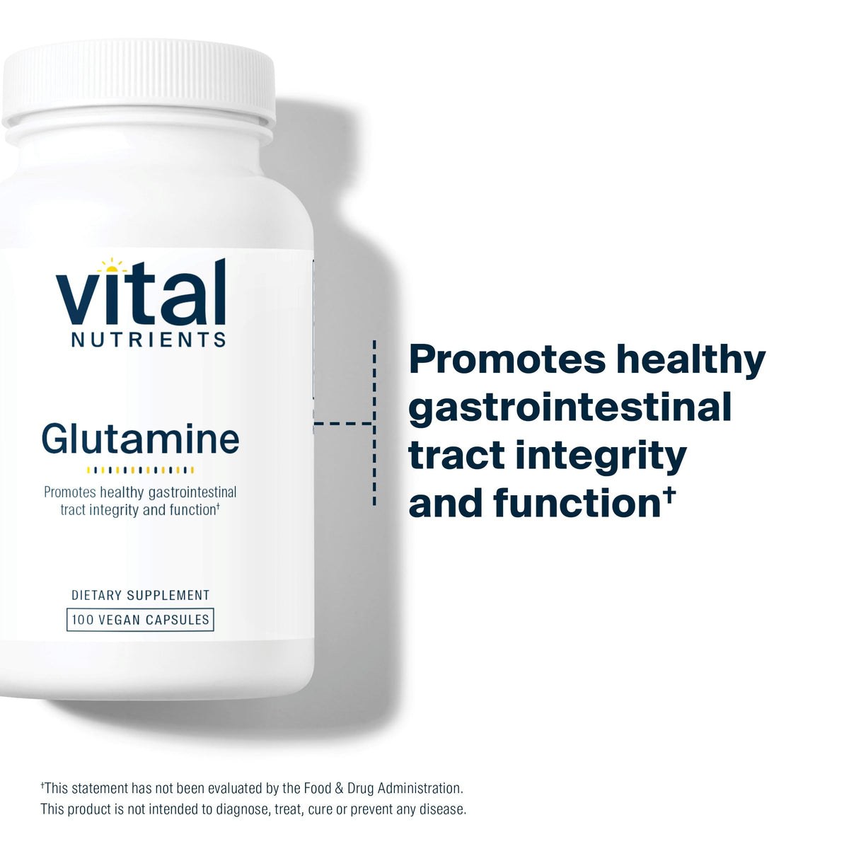 Vital Nutrients Glutamine 90 capsules avec dosage indiqué