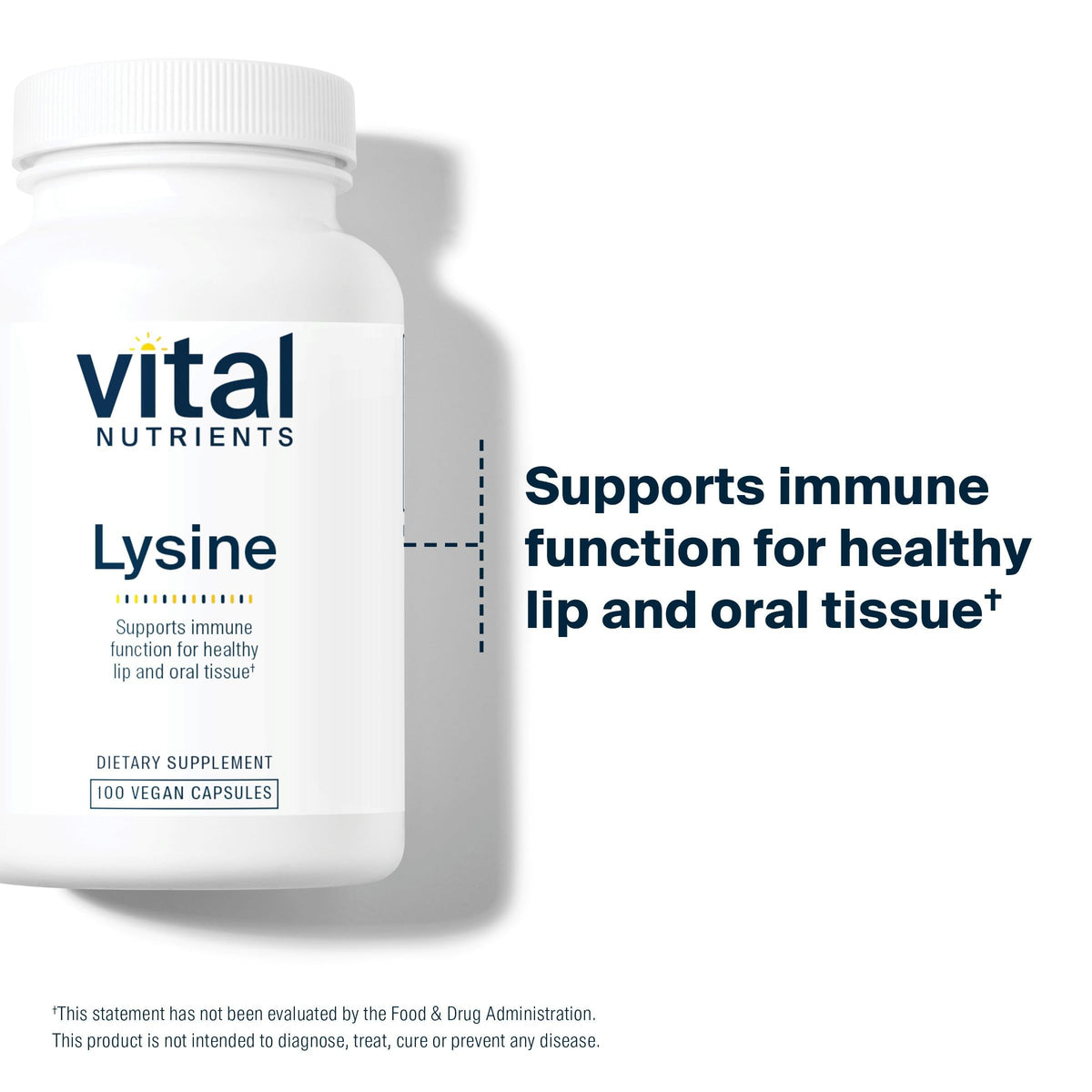 Vital Nutrients L-Lysine 500mg dos de l'emballage