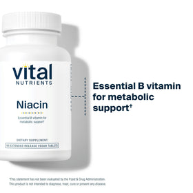 Vital Nutrients Niacine 500mg, comprimés dans la main