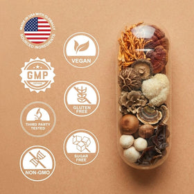 VITAL NUTRITIVE Complément Alimentaire Champignon 10-en-1, capsules dans une main