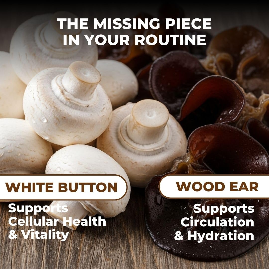 VITAL NUTRITIVE Complément Alimentaire Champignon 10-en-1, mise en scène avec des ingrédients naturels