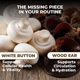 VITAL NUTRITIVE Complément Alimentaire Champignon 10-en-1, mise en scène avec des ingrédients naturels