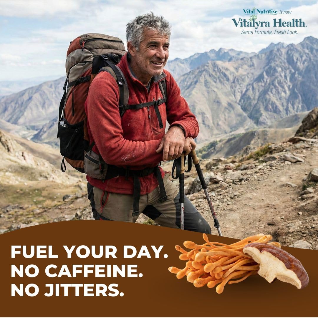 VITAL NUTRITIVE Complément Alimentaire Champignon 10-en-1, présentation sur une table
