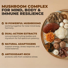 VITAL NUTRITIVE Complément Alimentaire Champignon 10-en-1, vue arrière