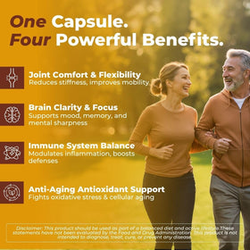 VITAL NUTRITIVE Curcuma Curcumine 655mg capsules avec étiquette