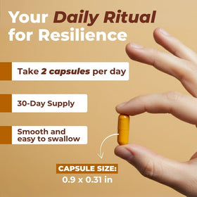 VITAL NUTRITIVE Curcuma Curcumine 655mg ingrédients sur l'étiquette