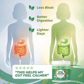 VITAL NUTRITIVE Poudre de Super Greens 40+ Superfoods 381g vue arrière