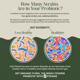 Vital Planet Probiotiques Bio pour Hommes avec étiquette visible