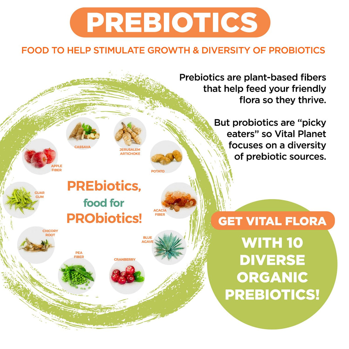 Vital Planet Vital Flora Advanced Biome Probiotic capsules on a wooden table