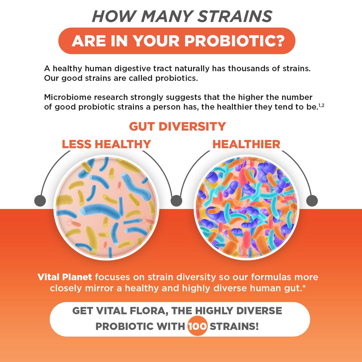 Vital Planet Vital Flora Advanced Biome Probiotic ingredients list on packaging
