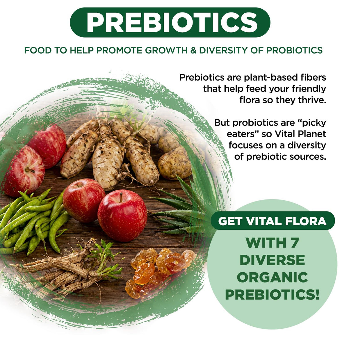 Vital Planet Vital Flora Probiotique 55+ dosage recommandé