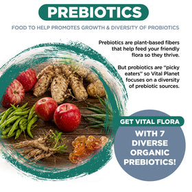 Vital Planet Vital Flora Ultra Probiotique ingrédients sur l'emballage