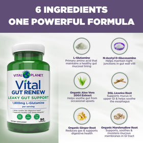 Vital Planet Vital Gut Renew capsules, back view with ingredient list