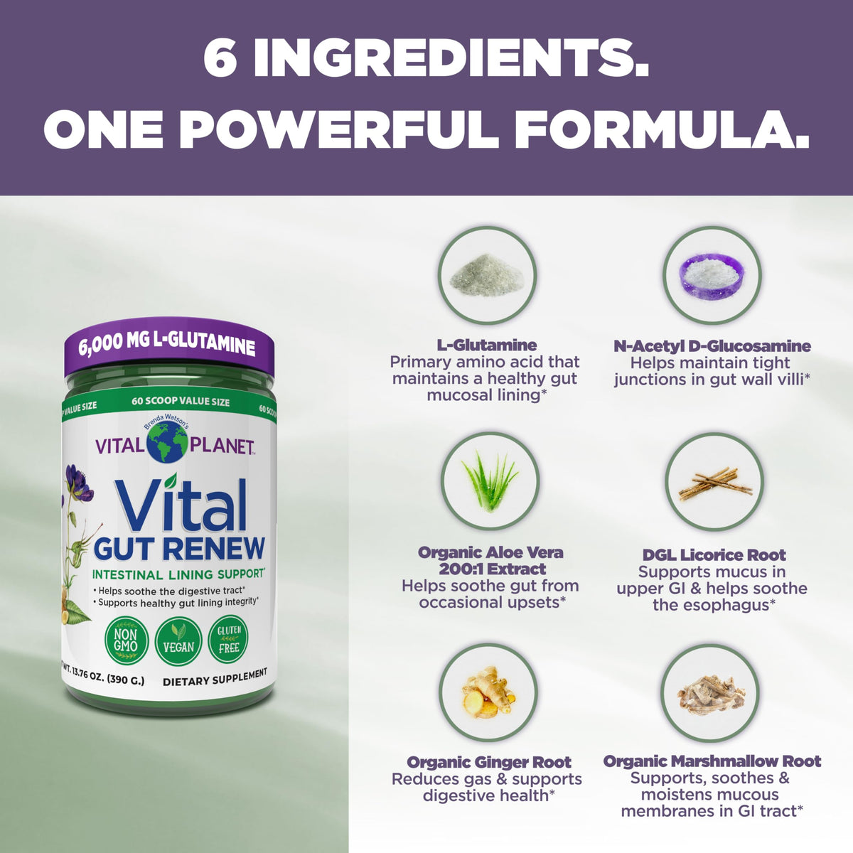 Vital Planet Vital Gut Renew Poudre 6000mg L-Glutamine 490g avec cuillère doseuse