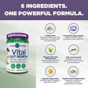 Vital Planet Vital Gut Renew Poudre 6000mg L-Glutamine 490g avec cuillère doseuse