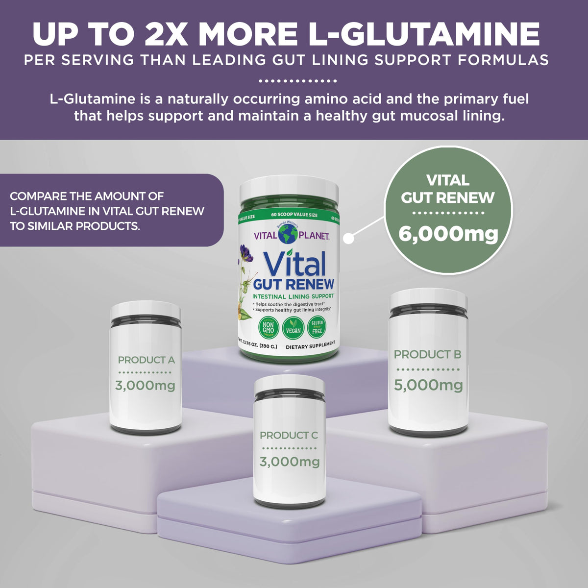 Vital Planet Vital Gut Renew Poudre 6000mg L-Glutamine 490g sur une table avec des ingrédients naturels