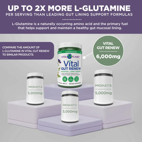 Vital Planet Vital Gut Renew Poudre 6000mg L-Glutamine 490g sur une table avec des ingrédients naturels
