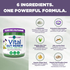Vital Planet Vital Gut Renew Poudre 6000mg L-Glutamine en poudre dans un verre d'eau