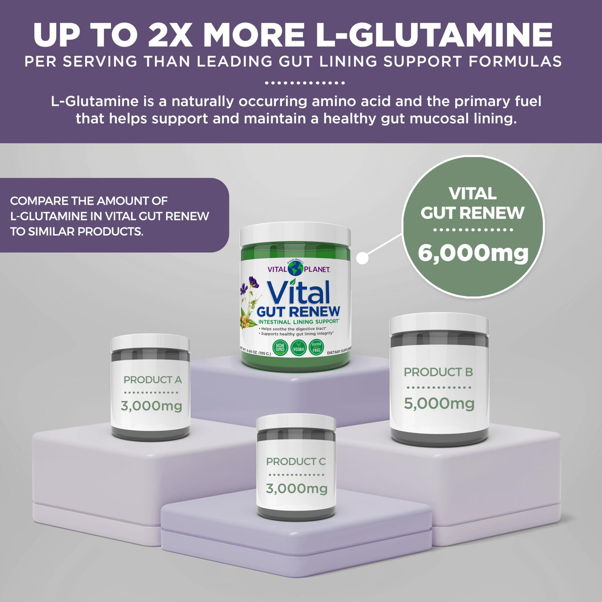 Vital Planet Vital Gut Renew Poudre 6000mg L-Glutamine format 259g