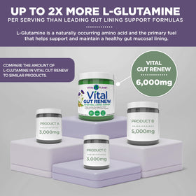 Vital Planet Vital Gut Renew Poudre 6000mg L-Glutamine format 259g