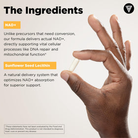 Vital Vitamins Complément Alimentaire NAD+ 500mg Liposomal, capsules sur un fond blanc