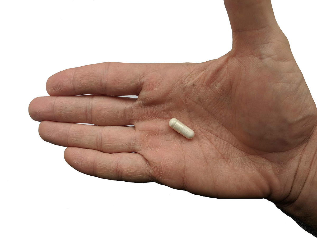 Vitalité Now! Probiotique Premium 4,4 milliards CFU, mise en scène avec d'autres compléments