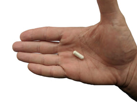 Vitalité Now! Probiotique Premium 4,4 milliards CFU, mise en scène avec d'autres compléments
