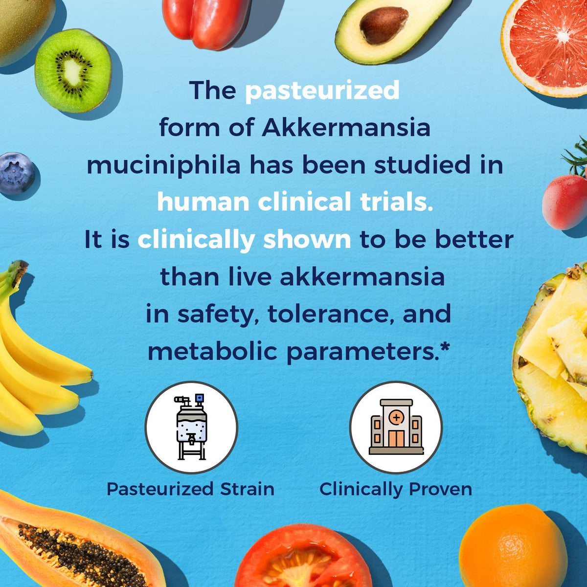 Vitalitown Akkermansia Probiotique GLP-1 avec inuline en ingrédients