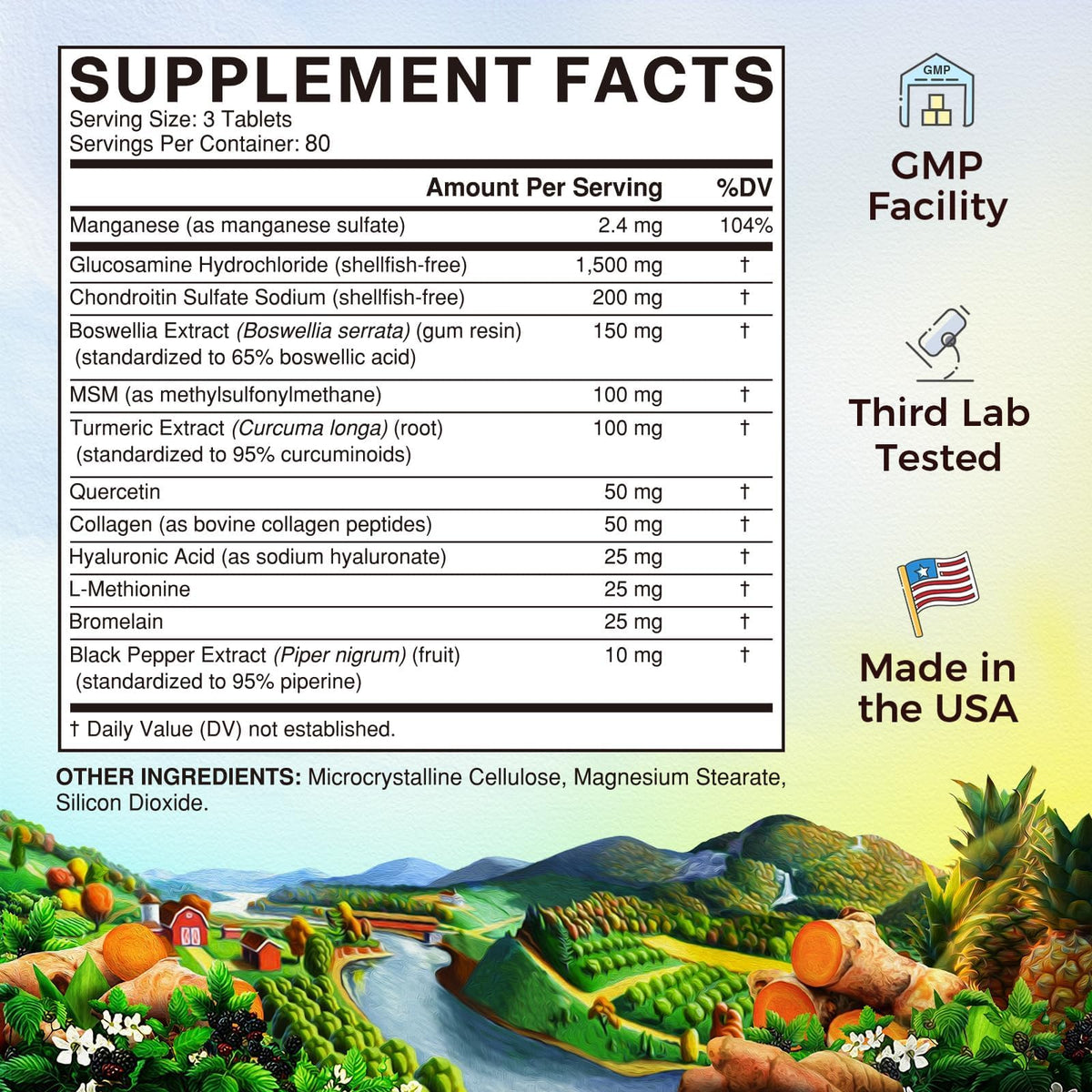 Vitalitown Glucosamine Chondroitin MSM 240 comprimés avec étiquette