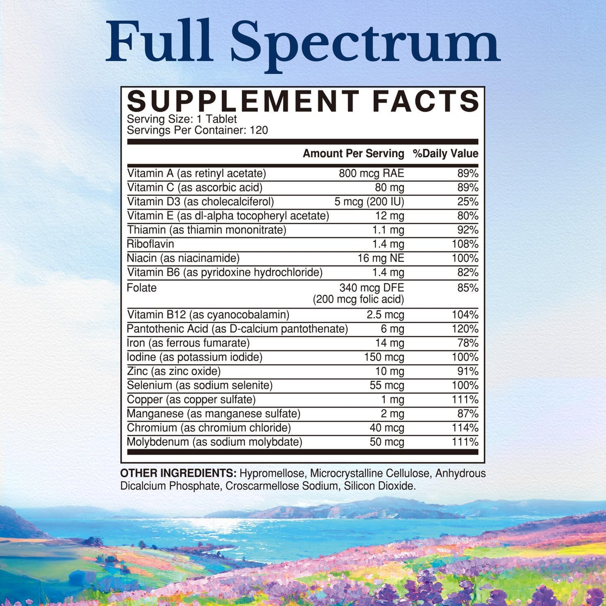 Vitalitown Multivitamine comprimés 120 unités arrière