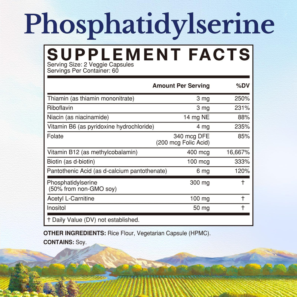 Vitalitown Phosphatidylserine 300mg dans un environnement de bureau
