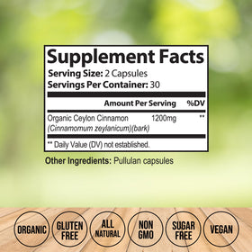 Vitalize Life capsules de cannelle de Ceylan 1200mg vue arrière