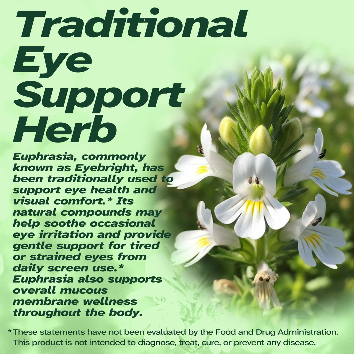 Vitalumina Eyebright Herbal Liquid 950mg en mode de vie actif