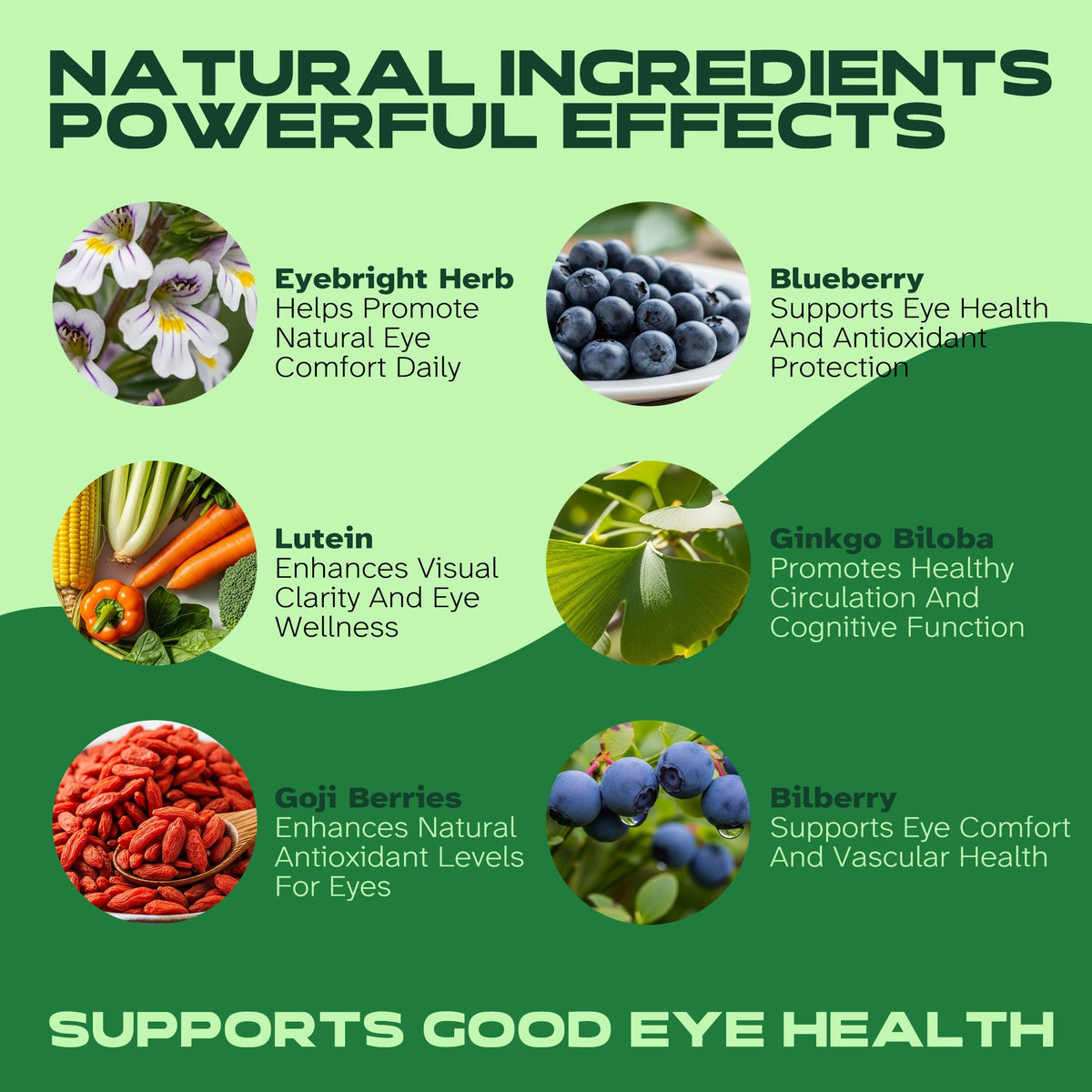 Vitalumina Eyebright Herbal Liquid 950mg étiquette avec ingrédients