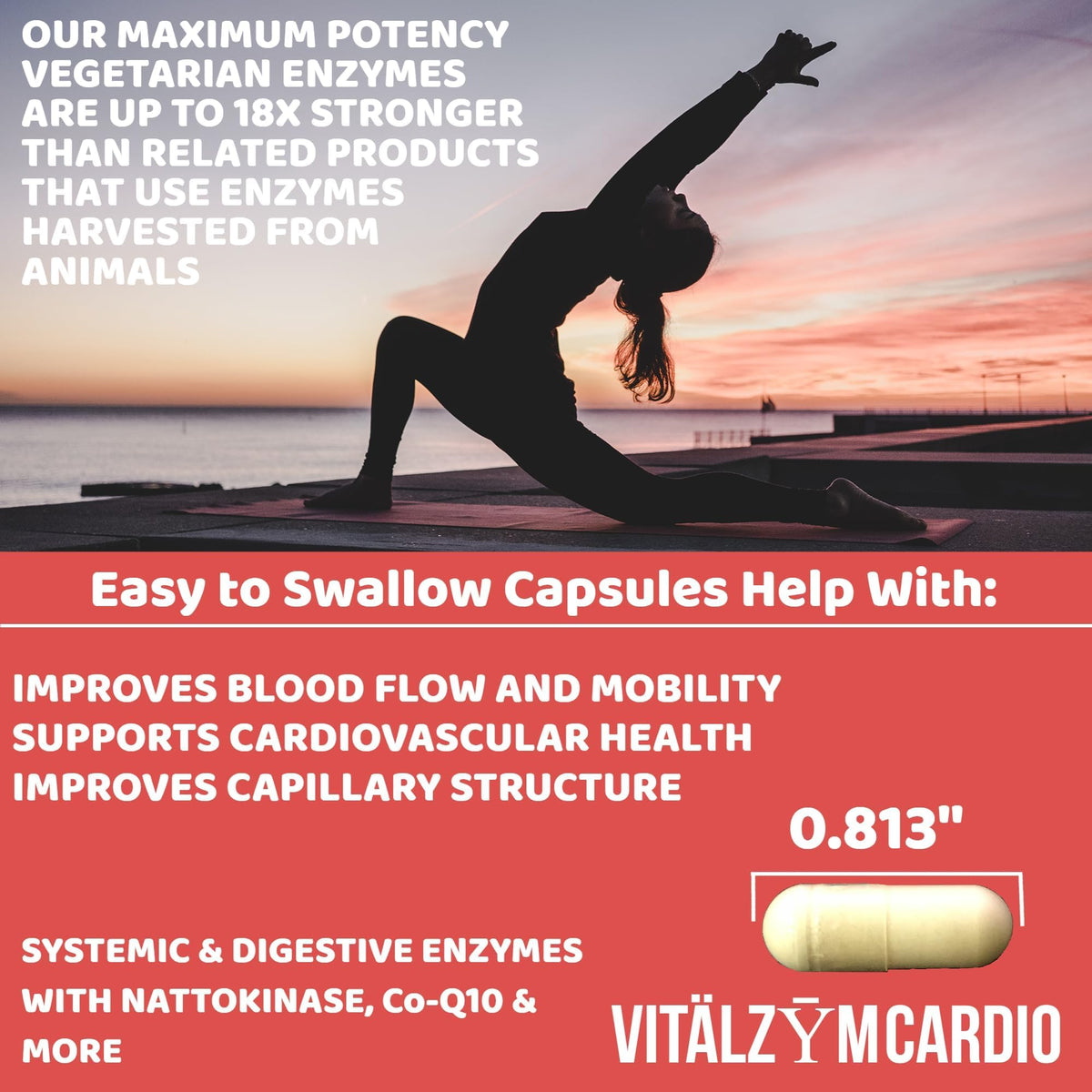 VITÄLZYM Cardio capsules dans une main