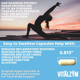 VITÄLZYM Complément Alimentaire Enzymes Systémiques - format de l'emballage
