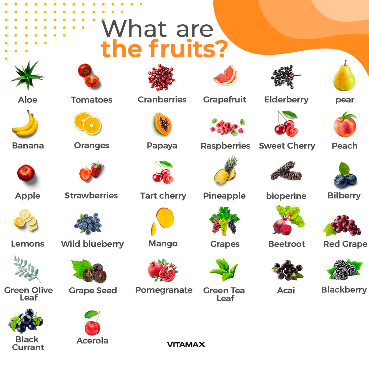 Vitamax capsules de fruits et légumes sur fond blanc