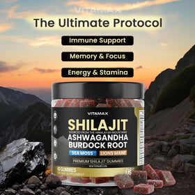 Vitamax Gummies Shilajit 60ct gummies individuelles