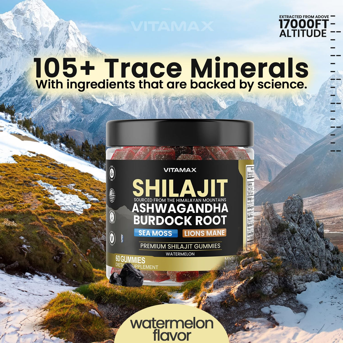 Vitamax Gummies Shilajit ingrédients naturels