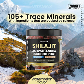 Vitamax Gummies Shilajit ingrédients naturels