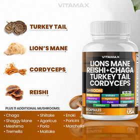 Vitamax MycoBoost Mélange de Champignons 60 Capsules vue arrière