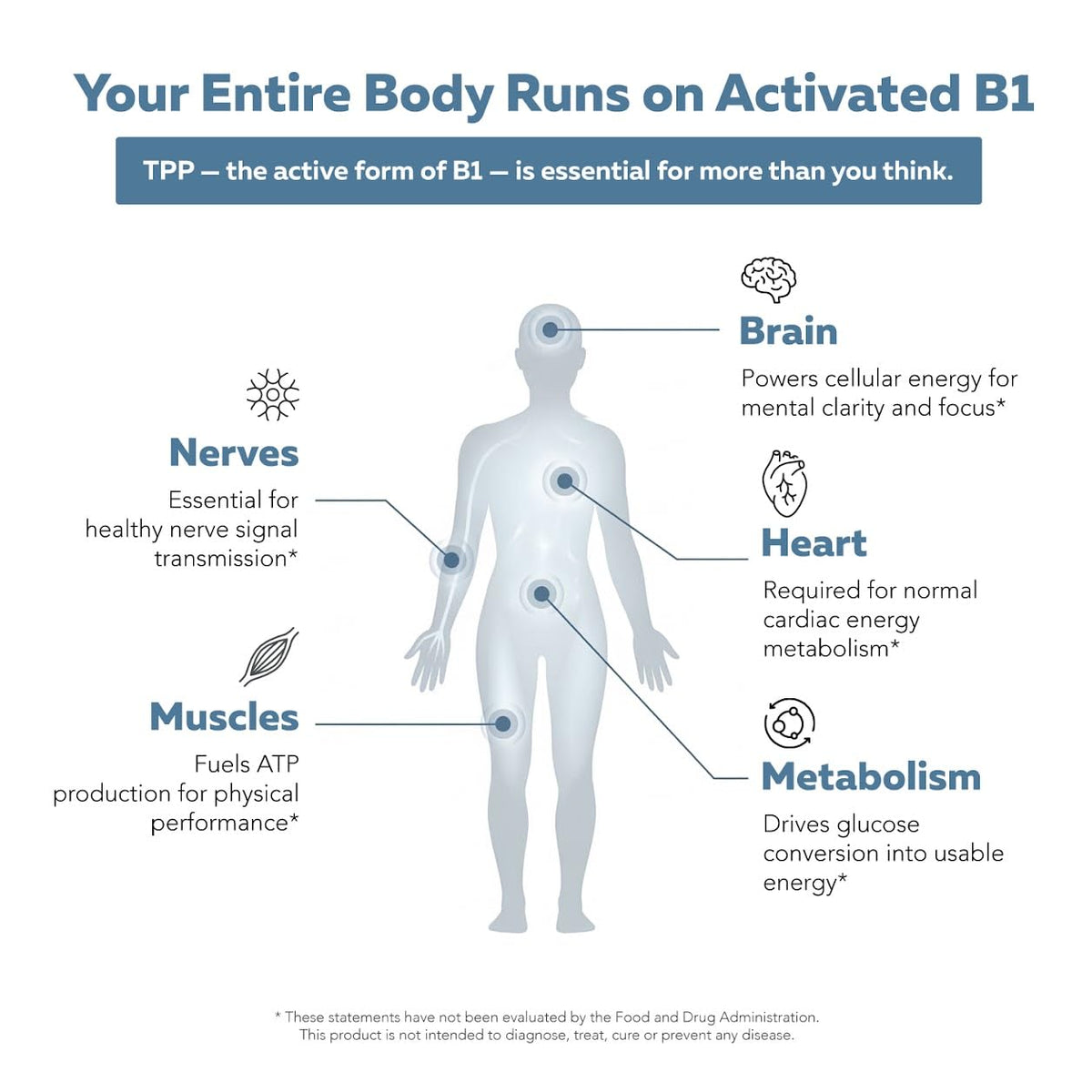 Vitamine B1 BioActive 600mg avec un verre d'eau à côté