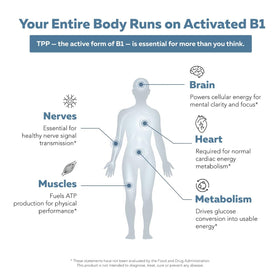 Vitamine B1 BioActive 600mg avec un verre d'eau à côté