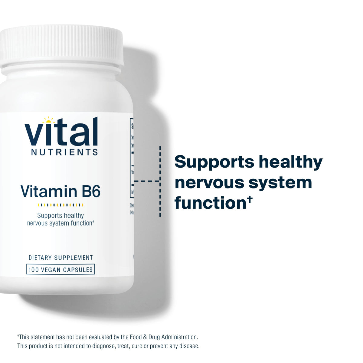 Vitamine B6 de Vital Nutrients sur un fond neutre