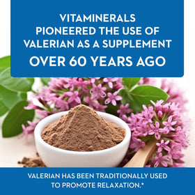 Vitaminerals Baldrian® Plus extrait de valériane 350mg côté