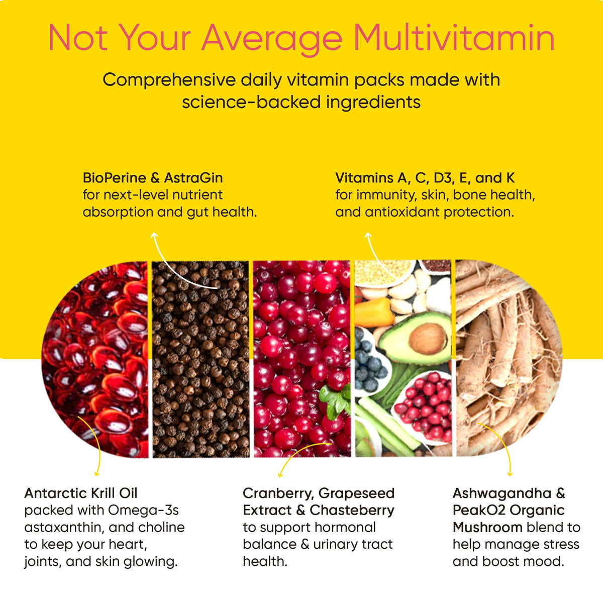 Vitamines Universal U, format pratique pour le transport