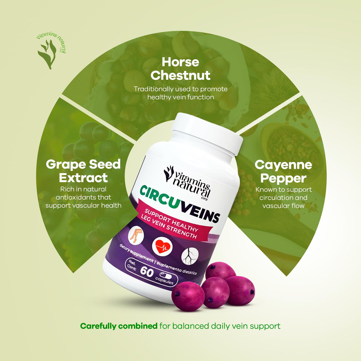 VITAMINS NATURAL CORP CircuVeins ingrédients principaux en gros plan