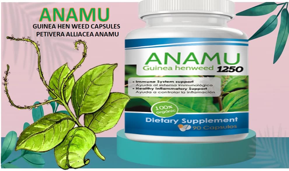 VITAMISAN Anamu 1250 mg 90 Capsules en environnement naturel