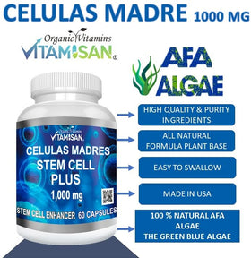 VITAMISAN Cellules Mères gélules à l'intérieur de la bouteille