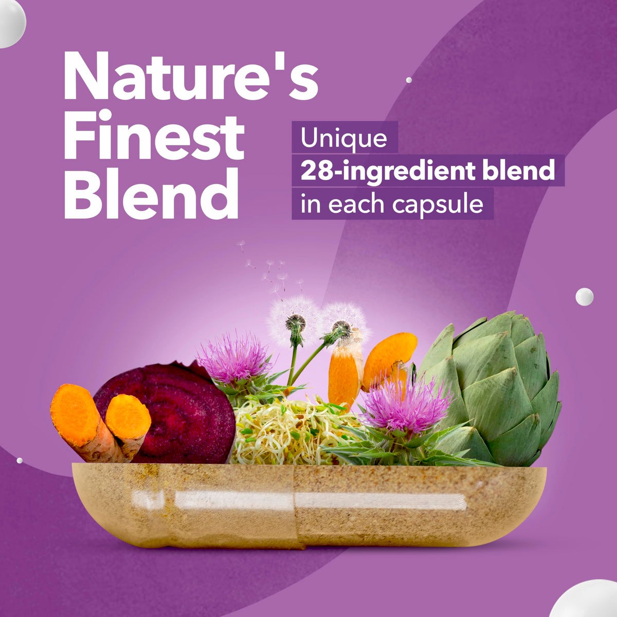 VITAMIZED Détox Foie 28-en-1 ingrédients principaux